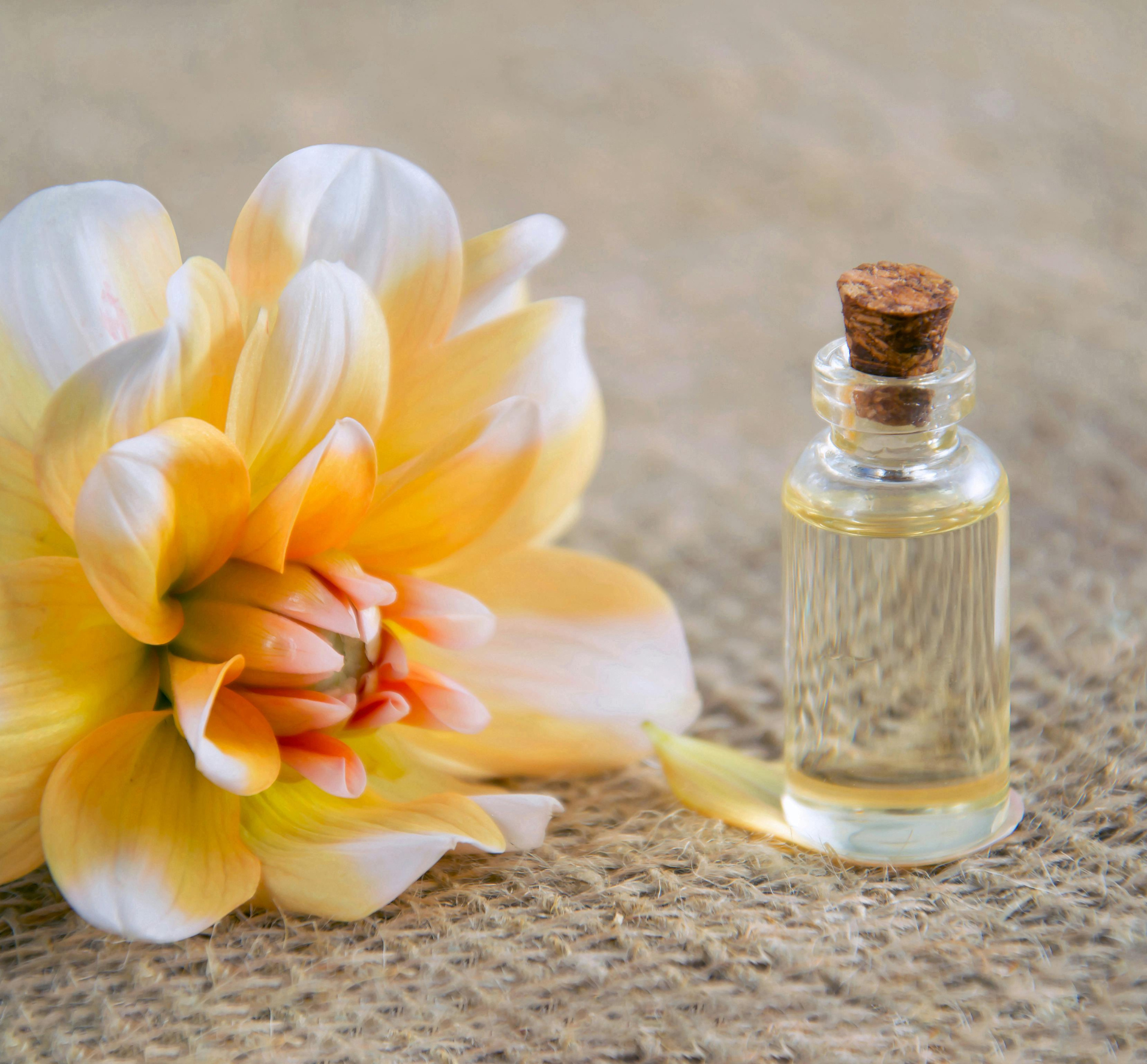 Luxury oud bottles The 1 Perfume